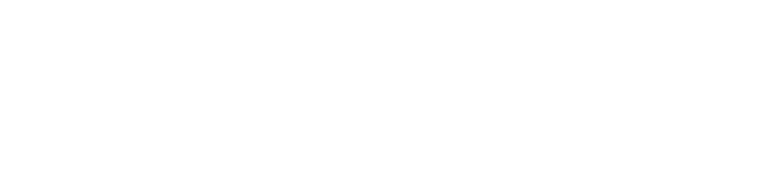 MyNet Intranet-Software